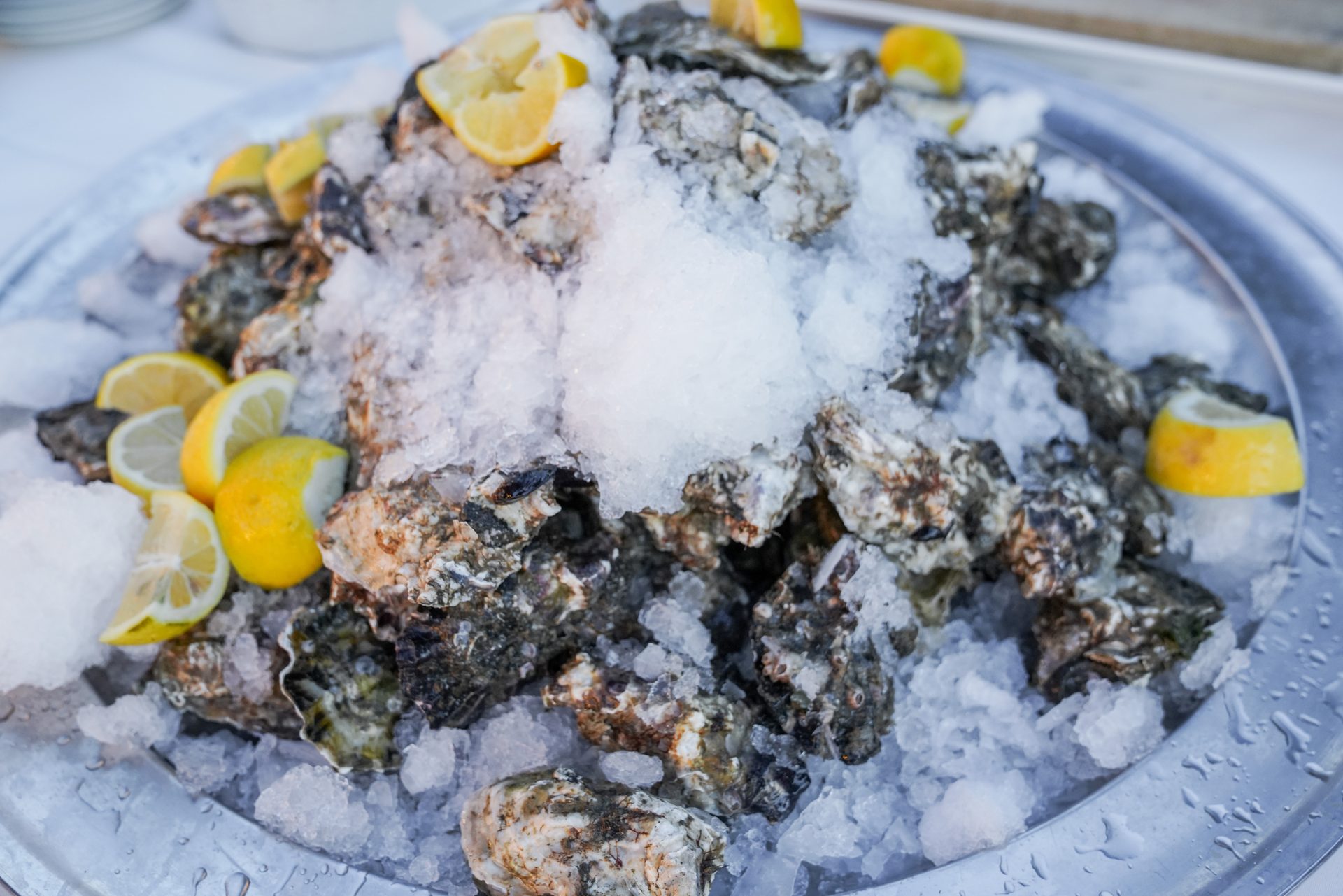 Cucina di mare e di terra – Li Surìi